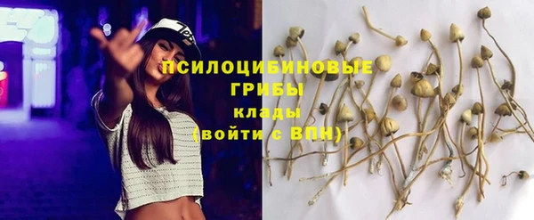кокс Дмитров