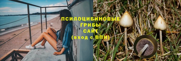 кокс Дмитров
