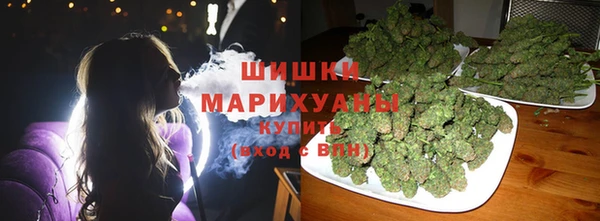 дживик Ельня
