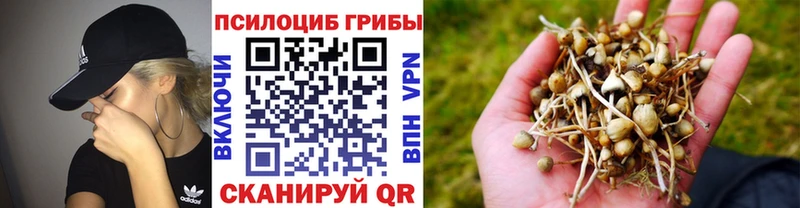 Галлюциногенные грибы прущие грибы  закладки  Минеральные Воды 