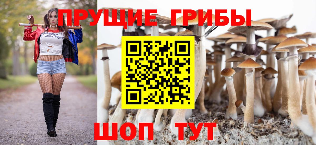 Псилоцибиновые грибы MAGIC MUSHROOMS Минеральные Воды