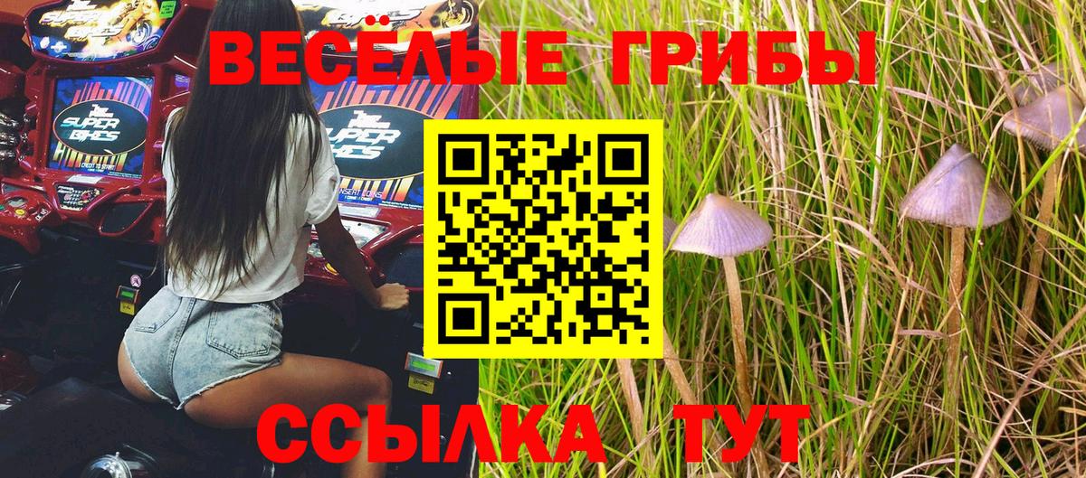 Псилоцибиновые грибы Cubensis  Вход с VPN  Галлюциногенные грибы Magic Shrooms  купить наркотики сайты  Минеральные Воды 