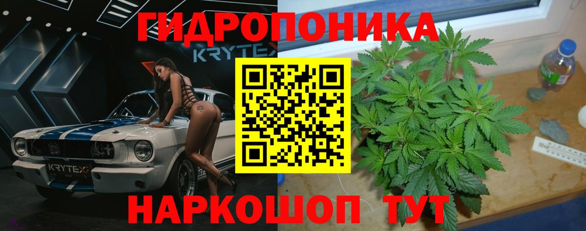 Бошки Шишки VHQ  Минеральные Воды  Бошки Шишки Ganja  Бошки марихуана Ganja 