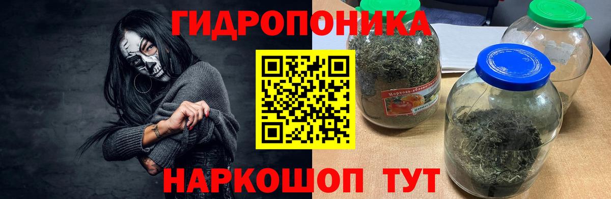 Марихуана семена Минеральные Воды